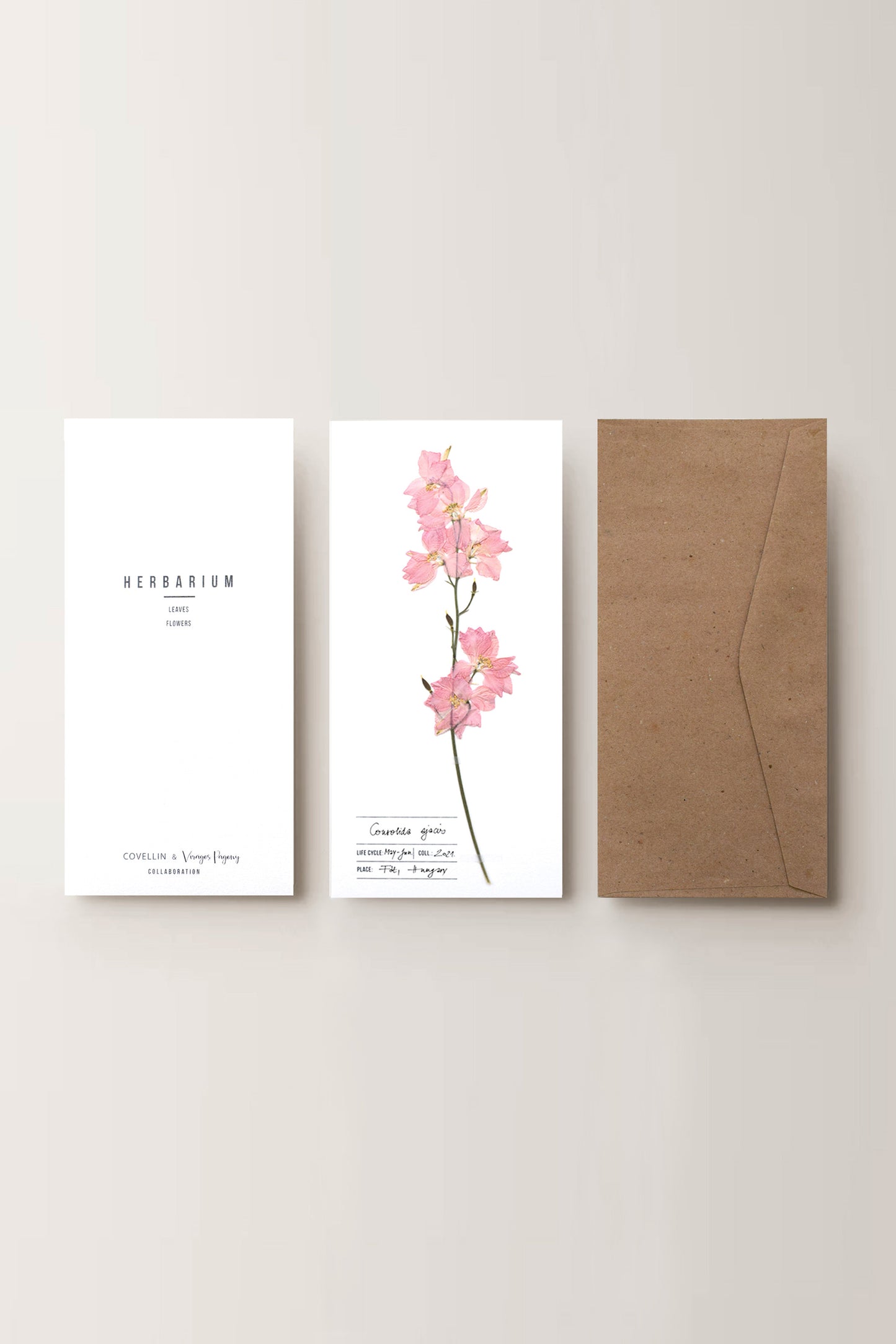 Herbarium kerti szarkaláb üdvözlőlap - fehér