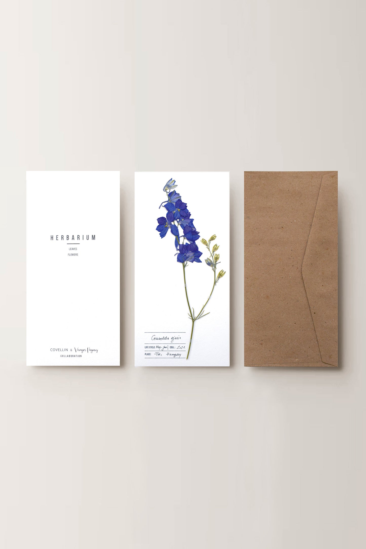 Herbarium kerti szarkaláb üdvözlőlap - fehér