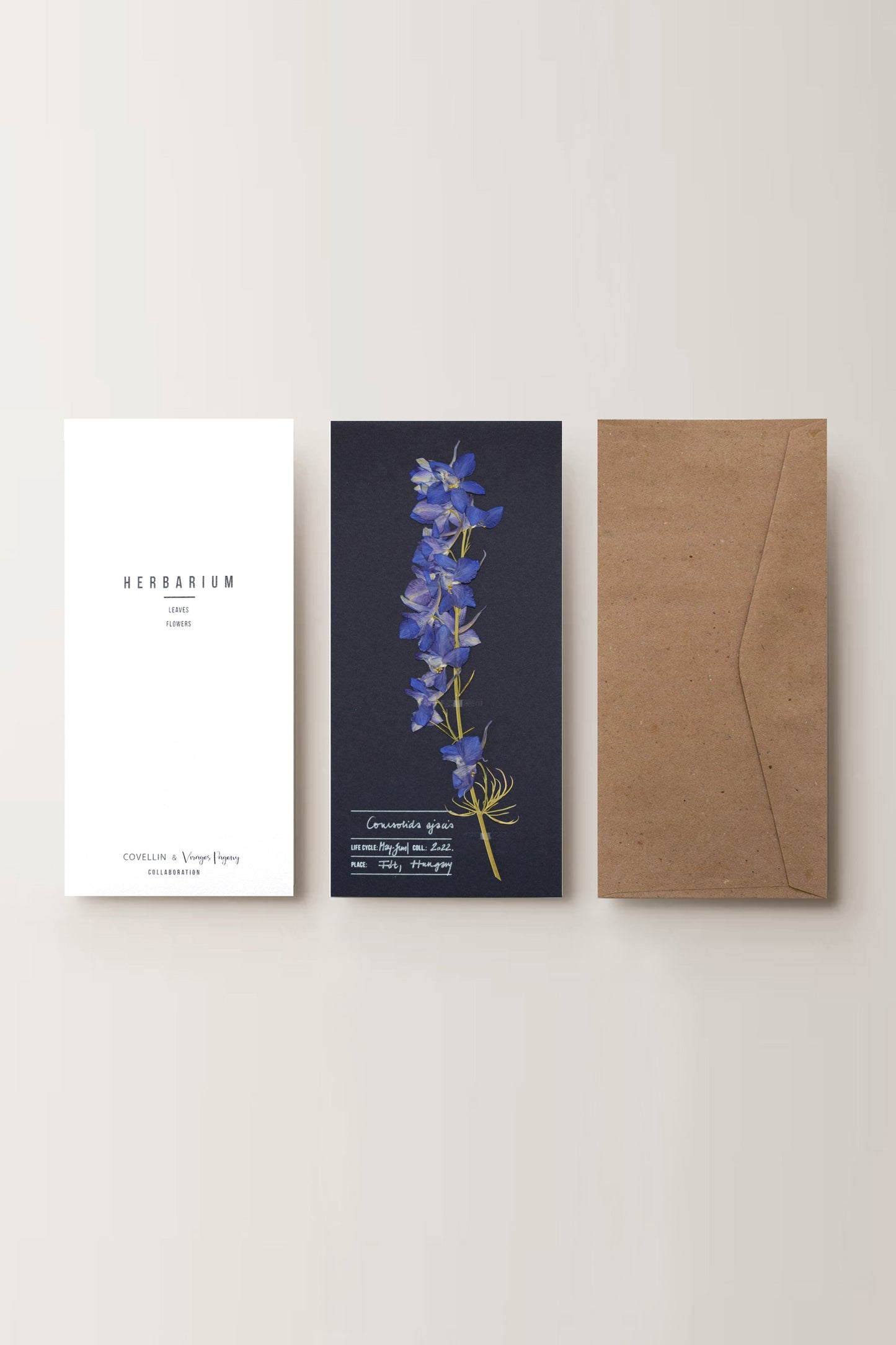Herbarium kerti szarkaláb üdvözlőlap - kék