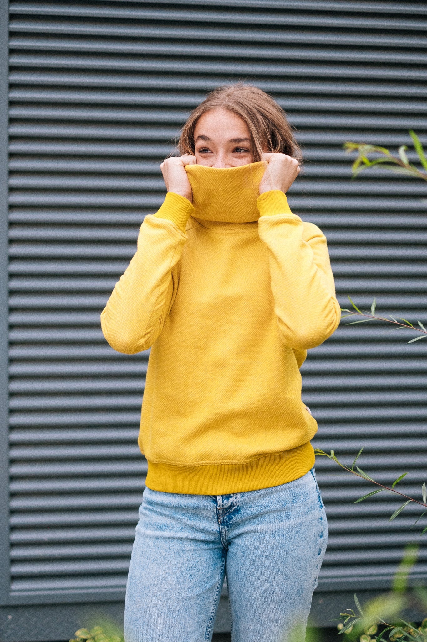 BICOLOR FUNNELNECK / MUSTARD