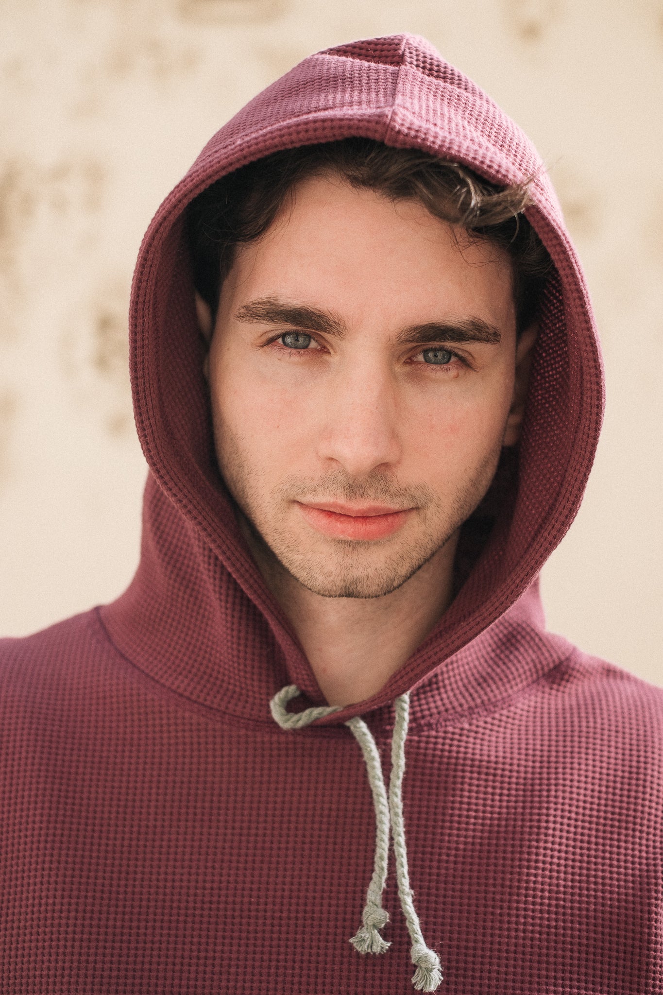 HIVE HOODIE / PLUM