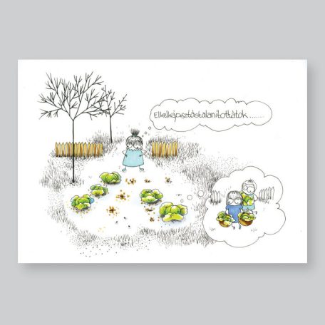 Cabbage postcard