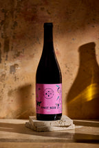 Pinot Noir 2023