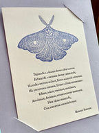 'Lepke' Waldorf fohász
