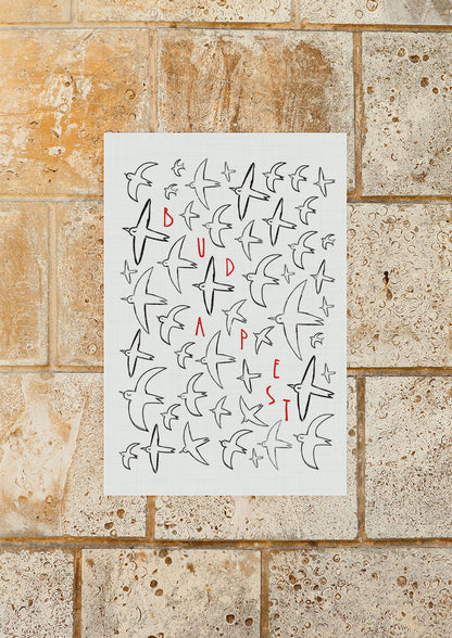 Budapest madarak /Budapest birds képeslap