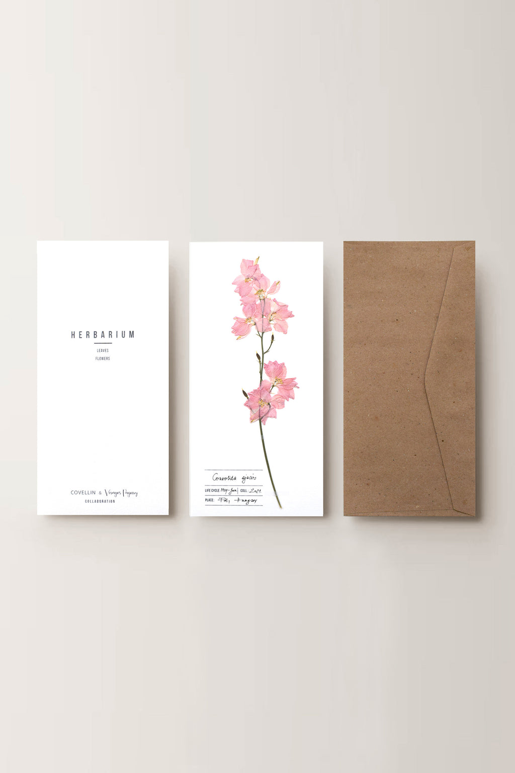Herbarium kerti szarkaláb üdvözlőlap - fehér