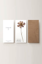 Herbarium Pillangóvirág üdvözlőlap - fehér