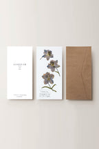 Herbarium sarkantyúfű üdvözlőlap - fehér