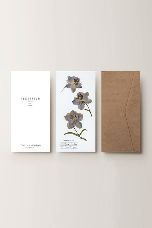 Herbarium sarkantyúfű üdvözlőlap - fehér