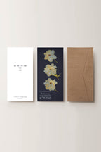 Herbarium sarkantyúfű üdvözlőlap - kék