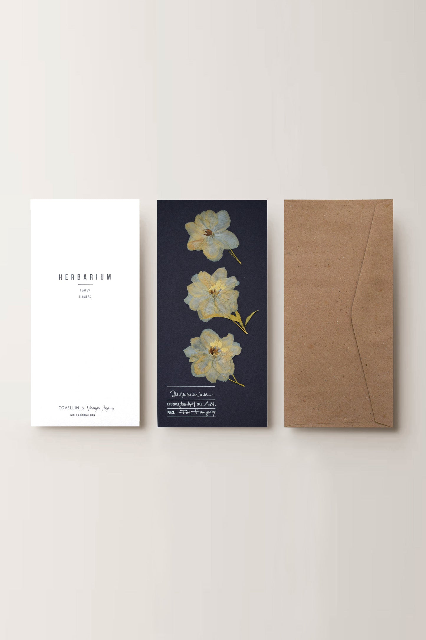 Herbarium sarkantyúfű üdvözlőlap - kék