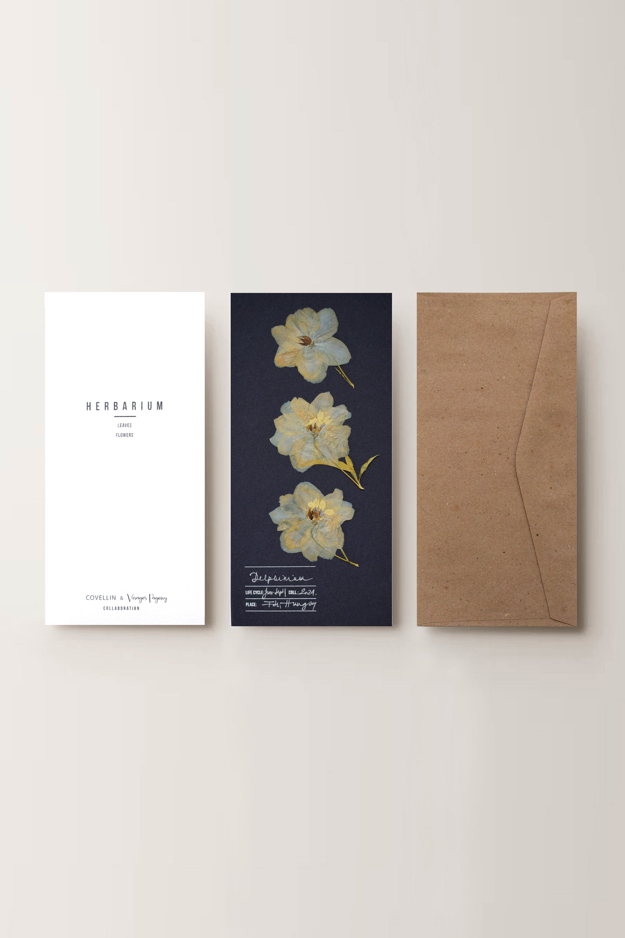 Herbarium sarkantyúfű üdvözlőlap - kék