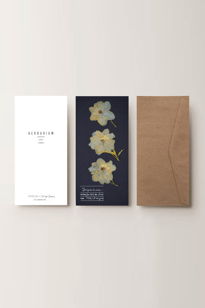 Herbarium sarkantyúfű üdvözlőlap - kék