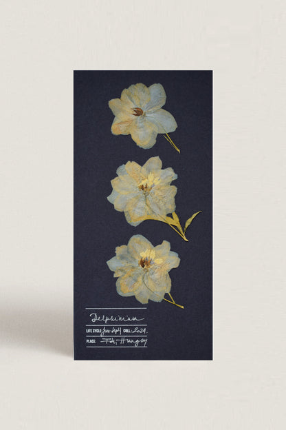 Herbarium sarkantyúfű üdvözlőlap - kék