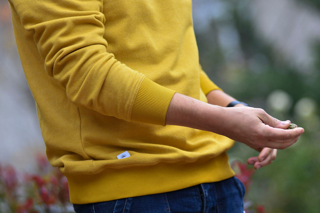 BICOLOR CREWNECK / MUSTARD