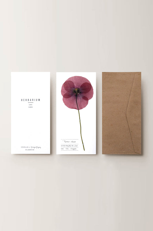 Herbarium Pipacs üdvözlőlap - fehér