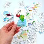 Memory card with herbs
