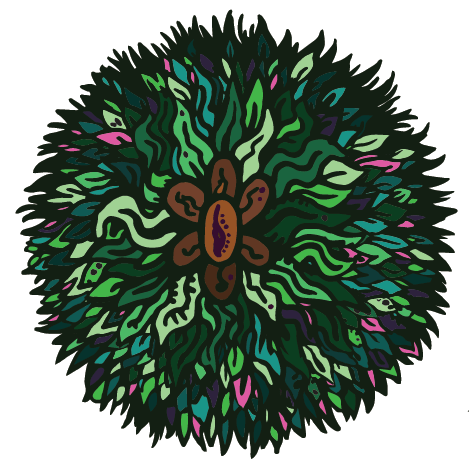 Kávé-spirulina szappan