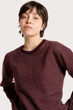 BICOLOR CREWNECK / WINE
