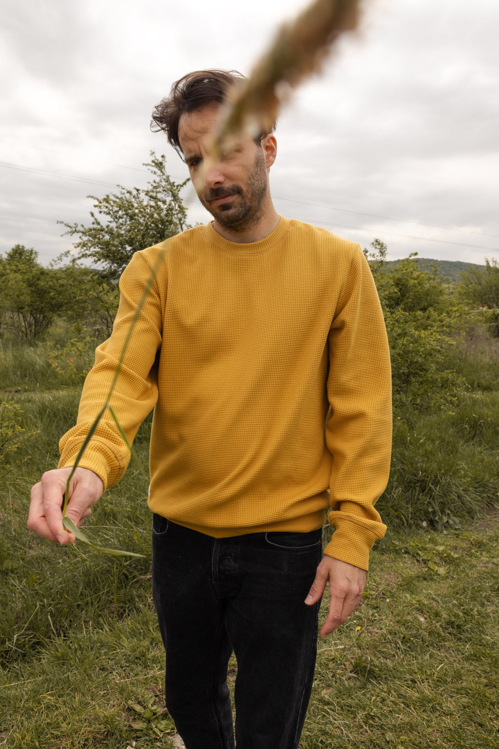 HIVE CREWNECK / MUSTARD