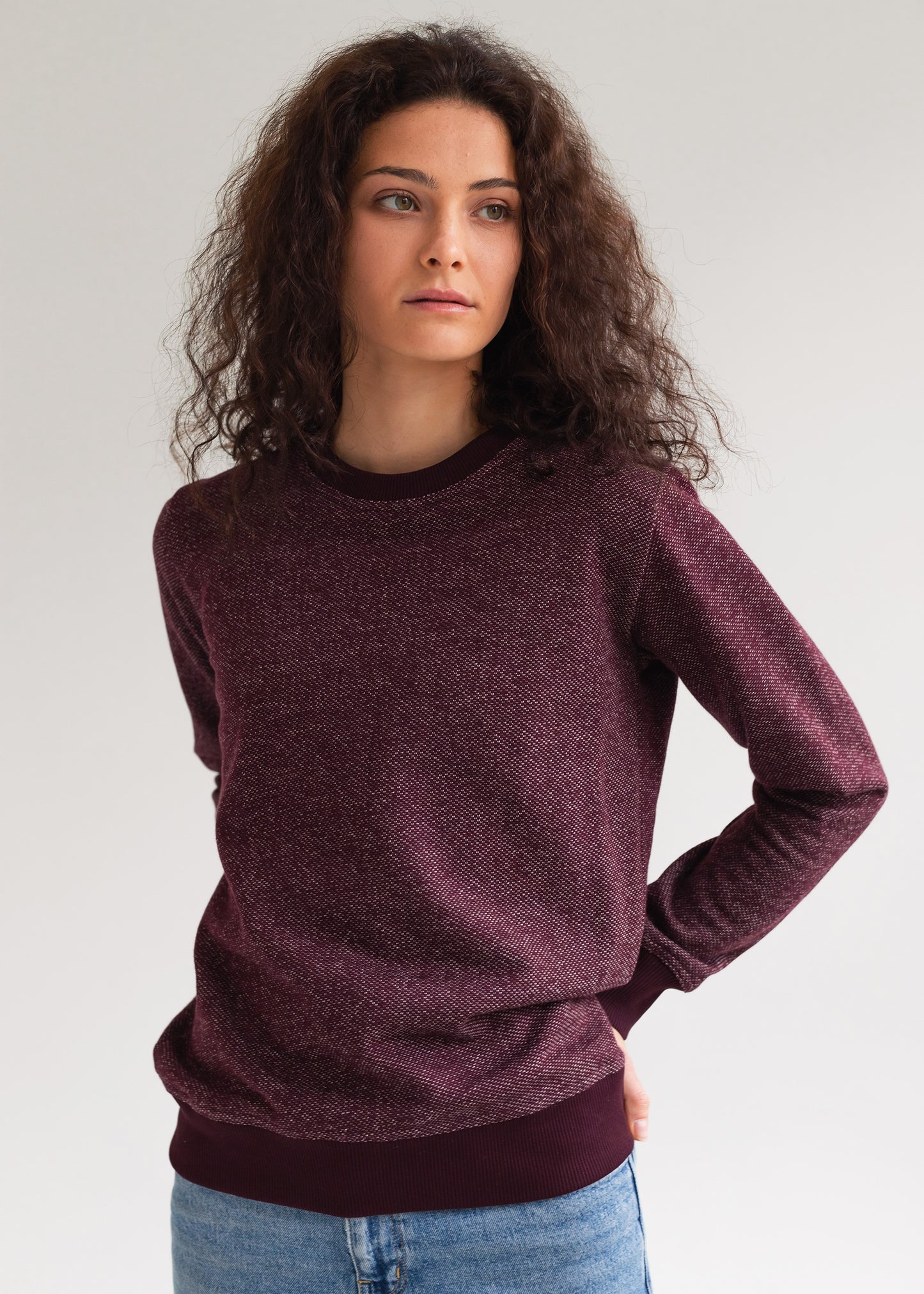 BICOLOR CREWNECK / WINE