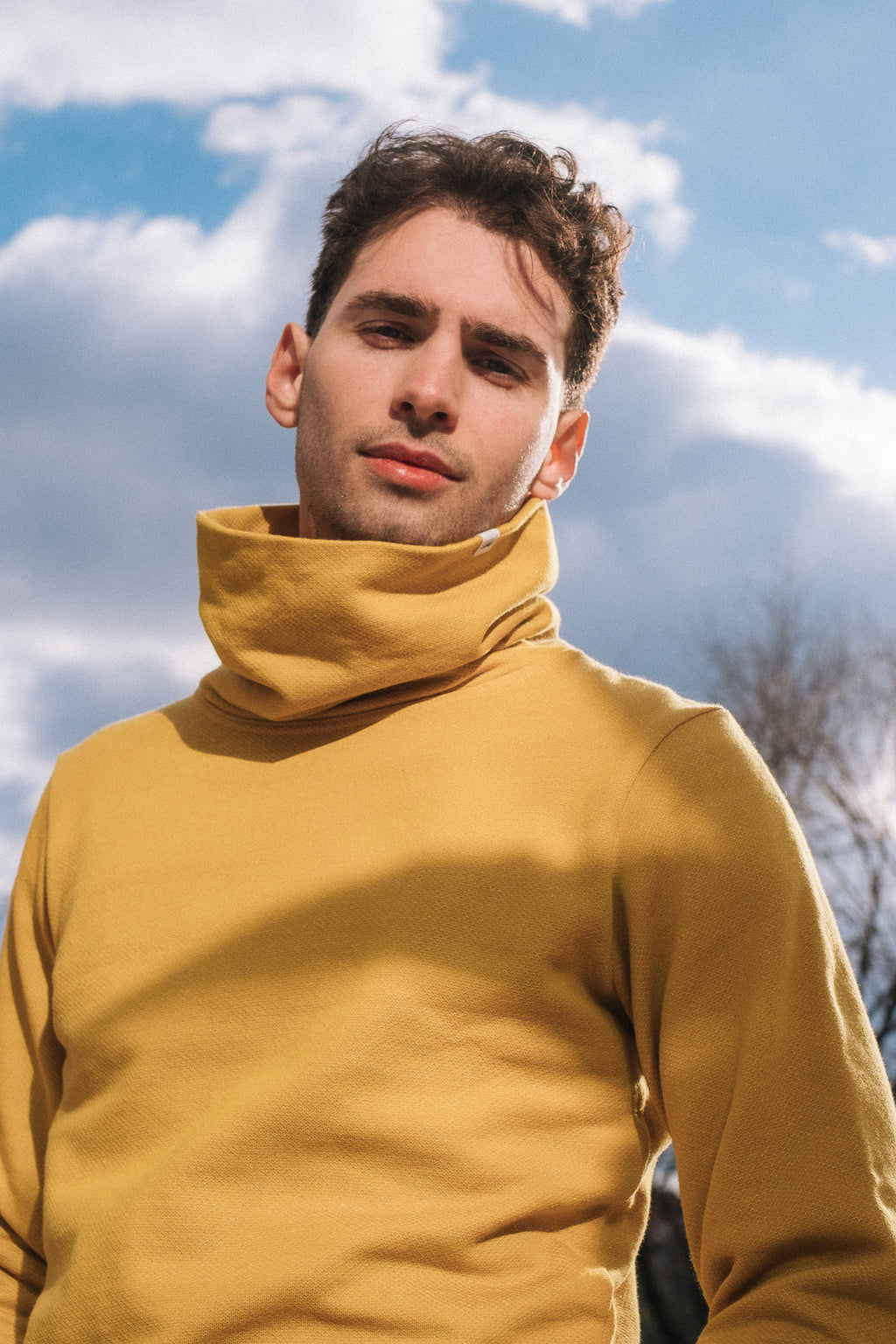 BICOLOR FUNNELNECK / MUSTARD
