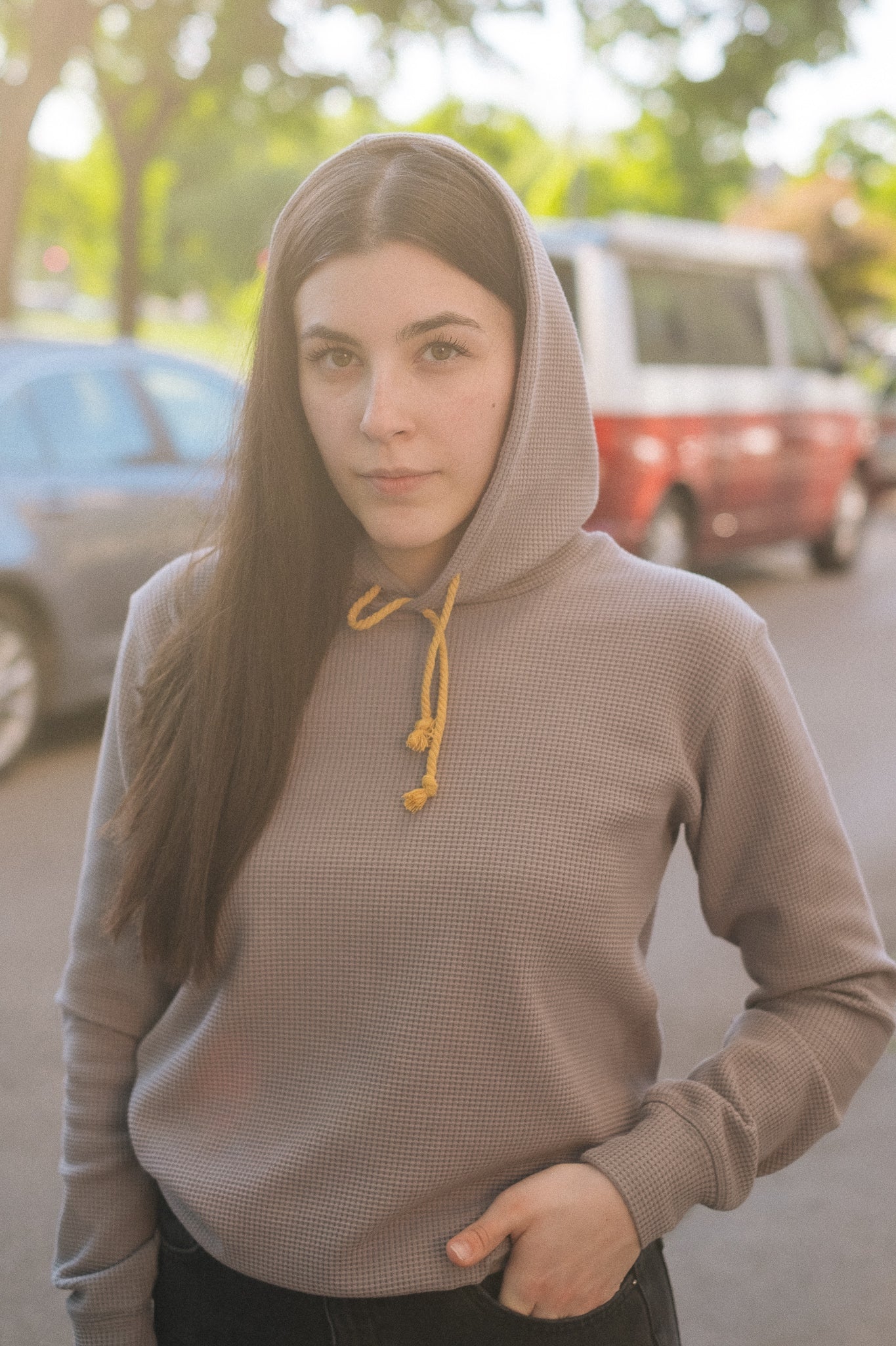 HIVE HOODIE / GREY