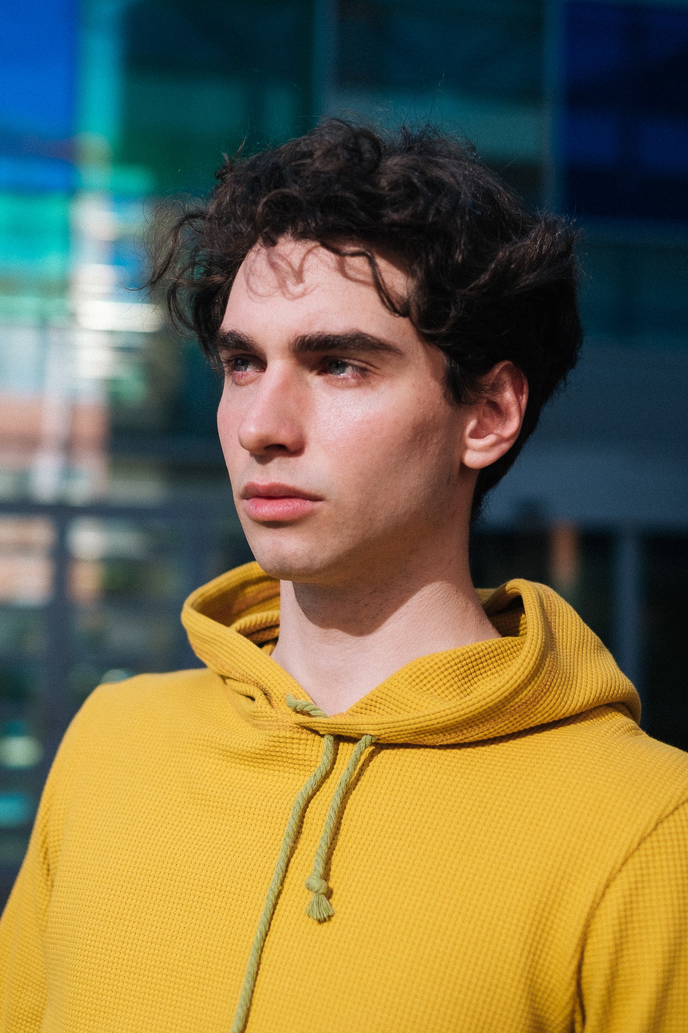 HIVE HOODIE / MUSTARD