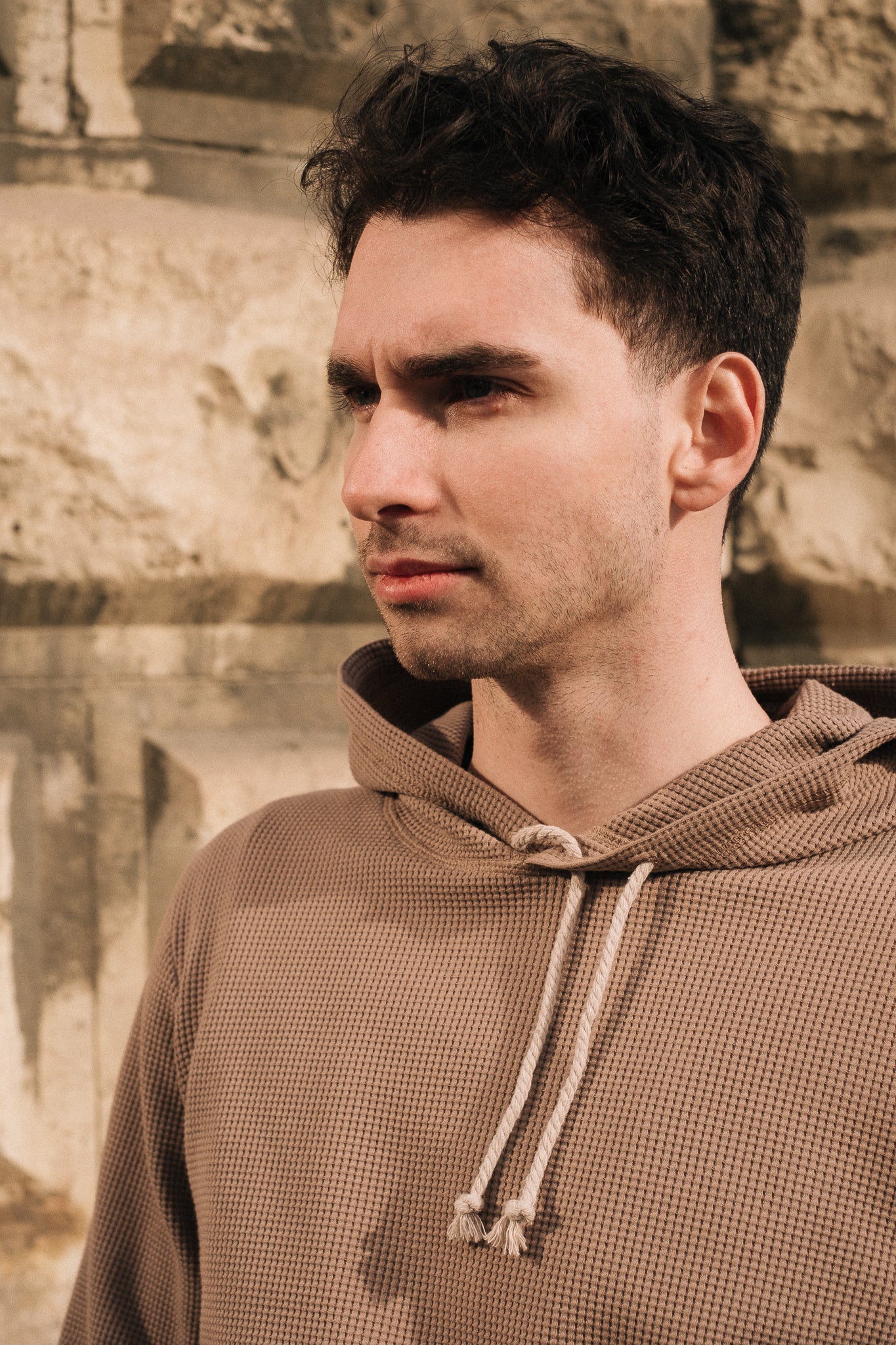 HIVE HOODIE / TAUPE
