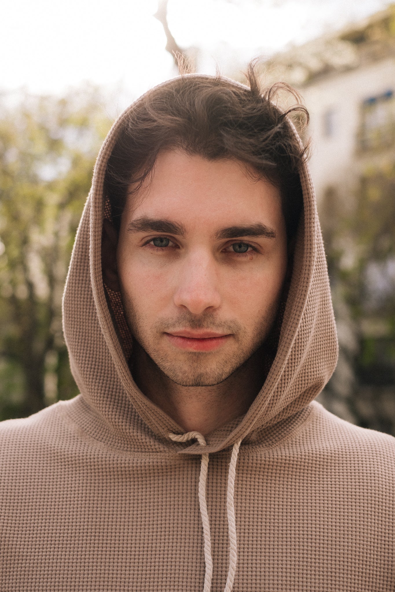 HIVE HOODIE / TAUPE