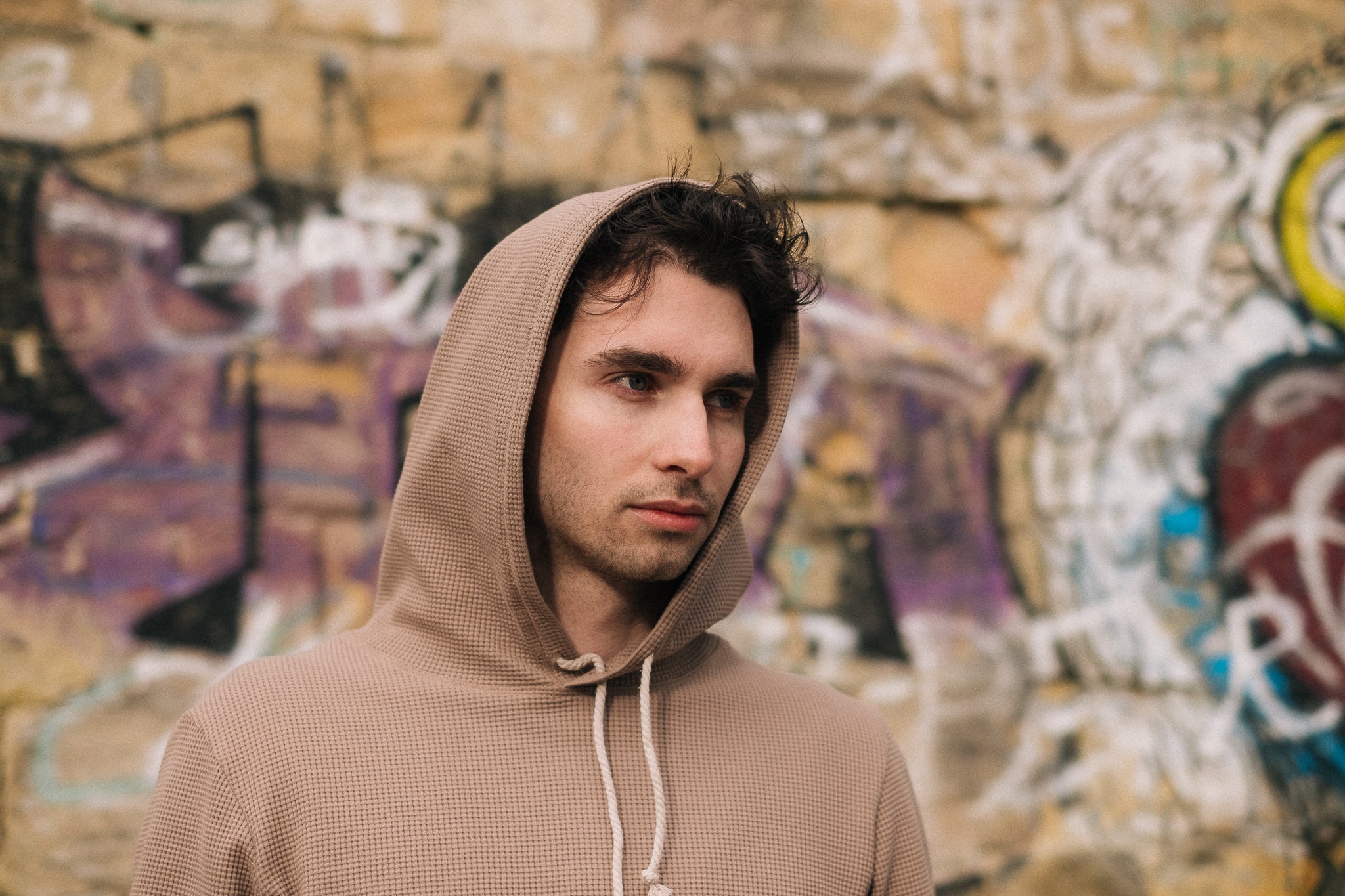 HIVE HOODIE / TAUPE