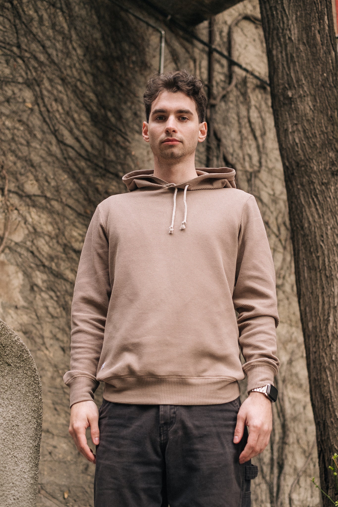 HIVE HOODIE / TAUPE