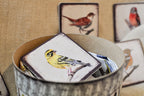 Memory game - Birds I.