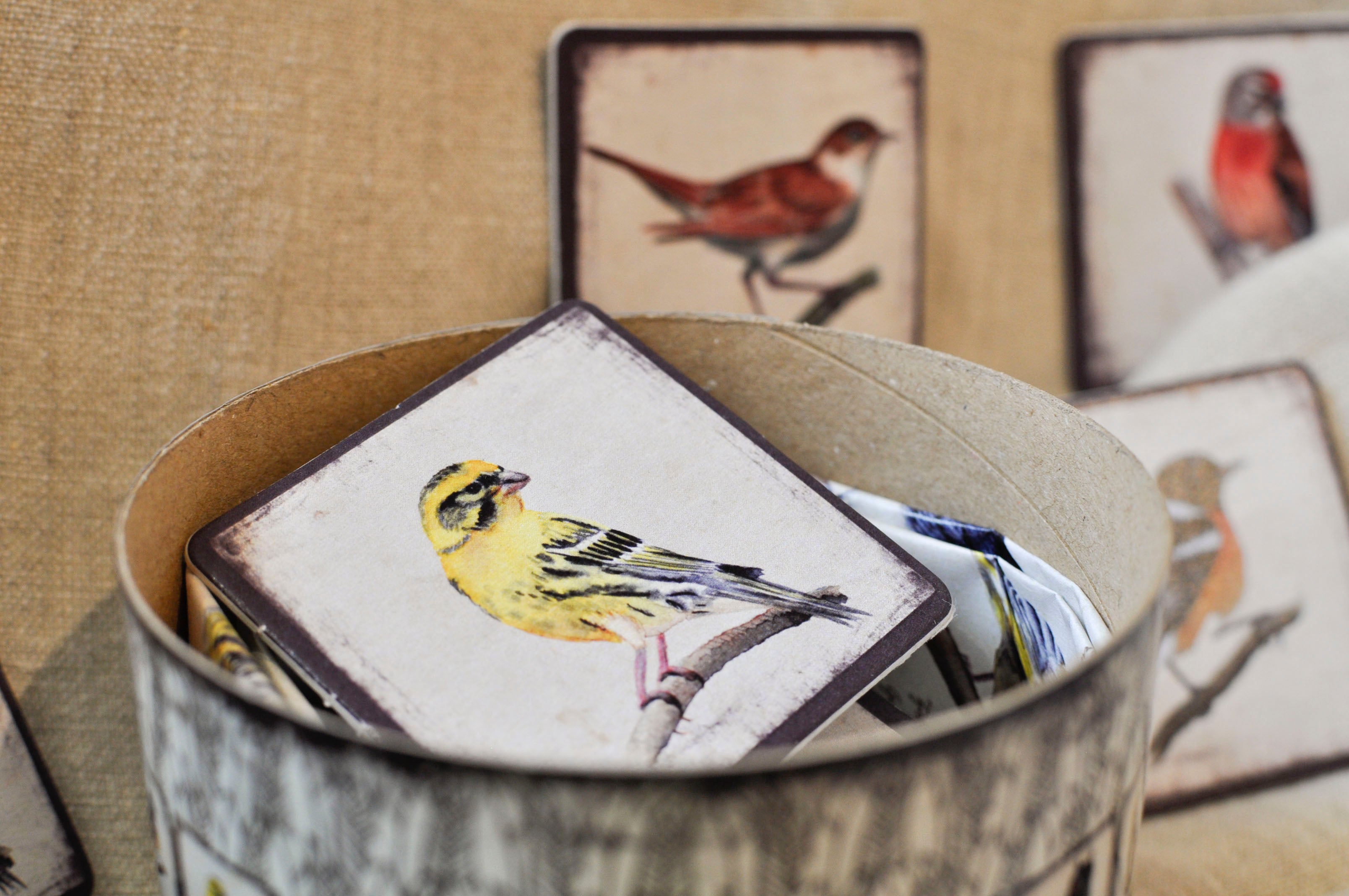 Memory game - Birds I.