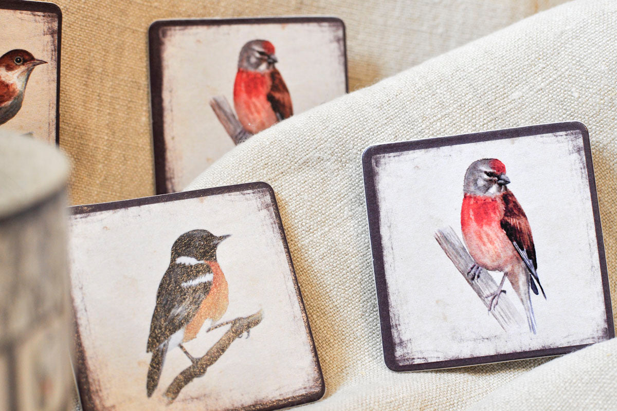 Memory game - Birds I.