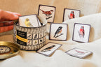 Memory game - Birds I.