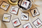 Memory game - Birds I.