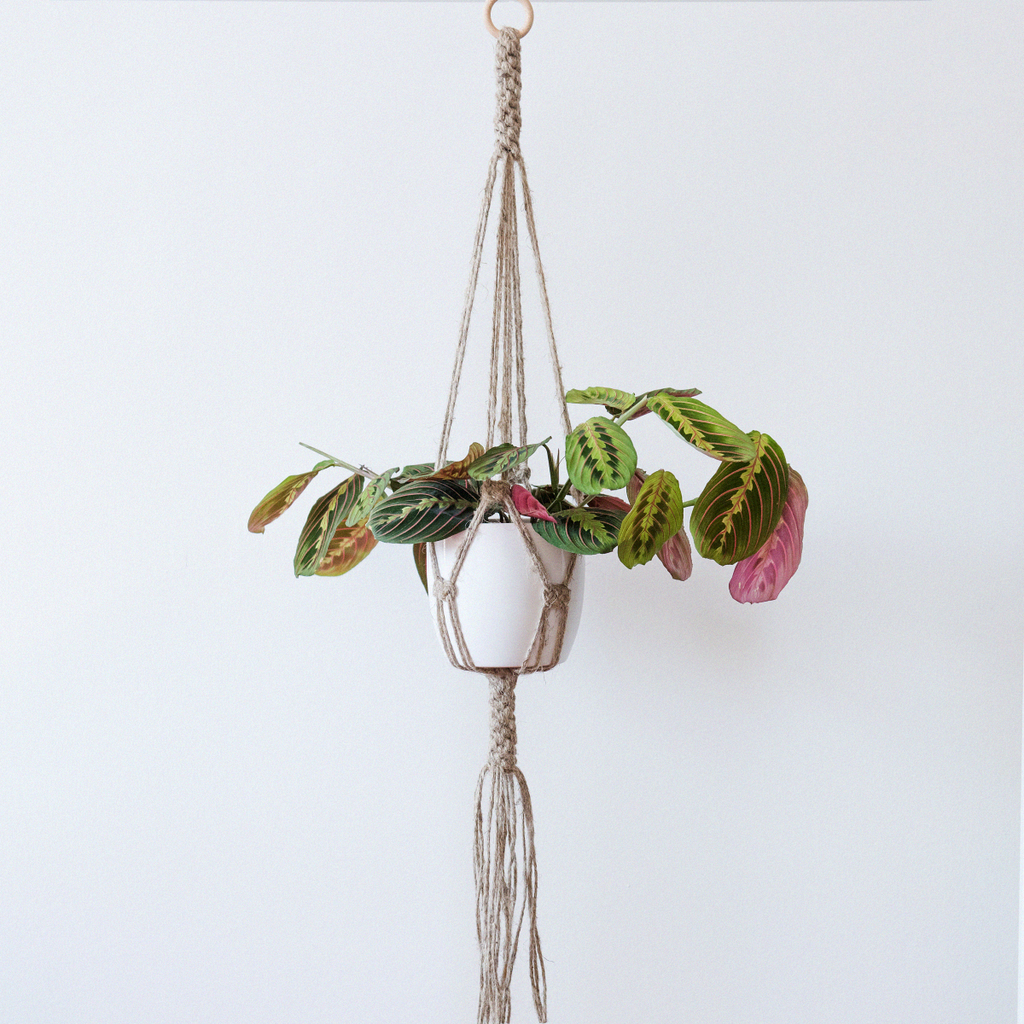 Macrame flower pot - Jozefin knotted