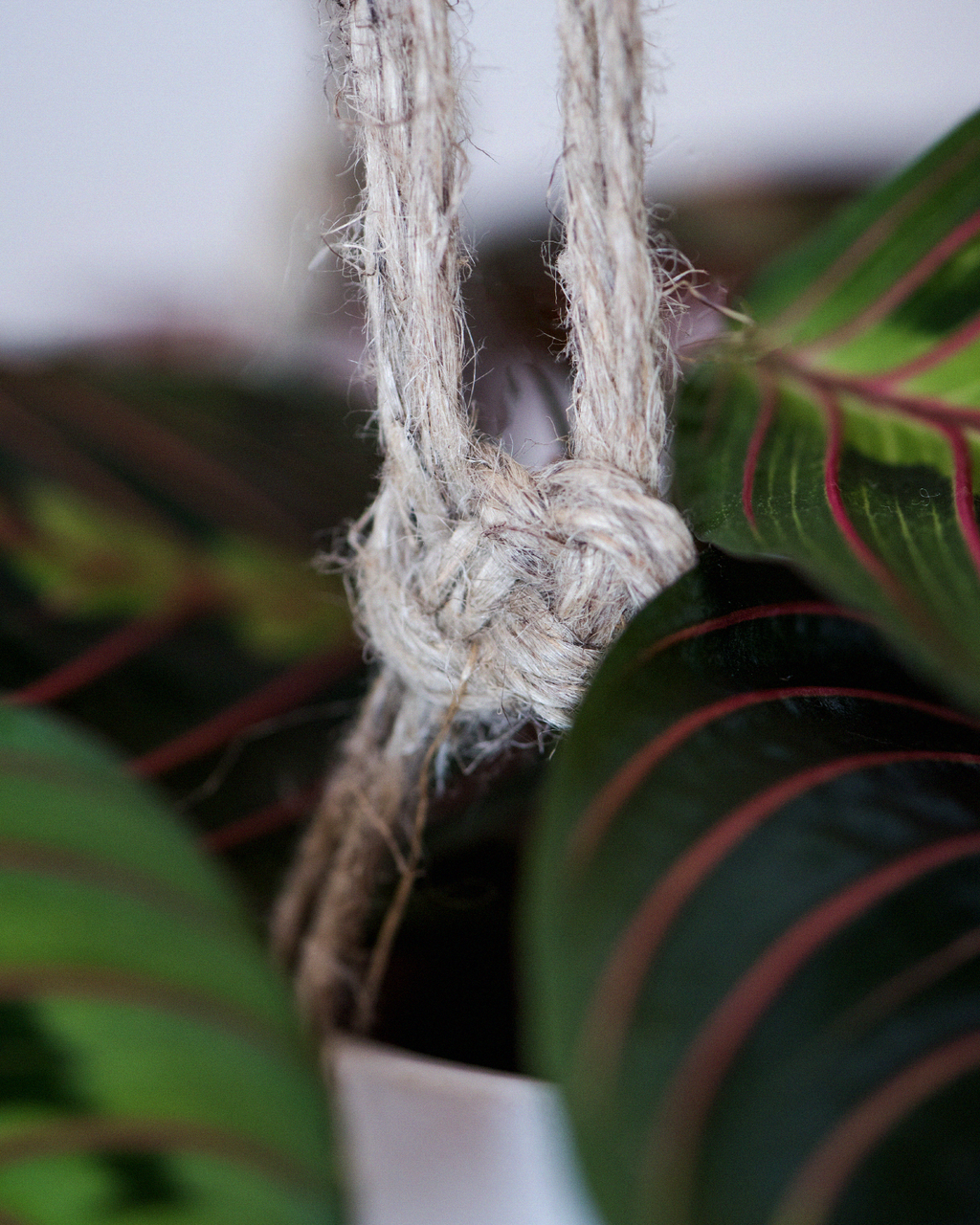Macrame flower pot - Jozefin knotted