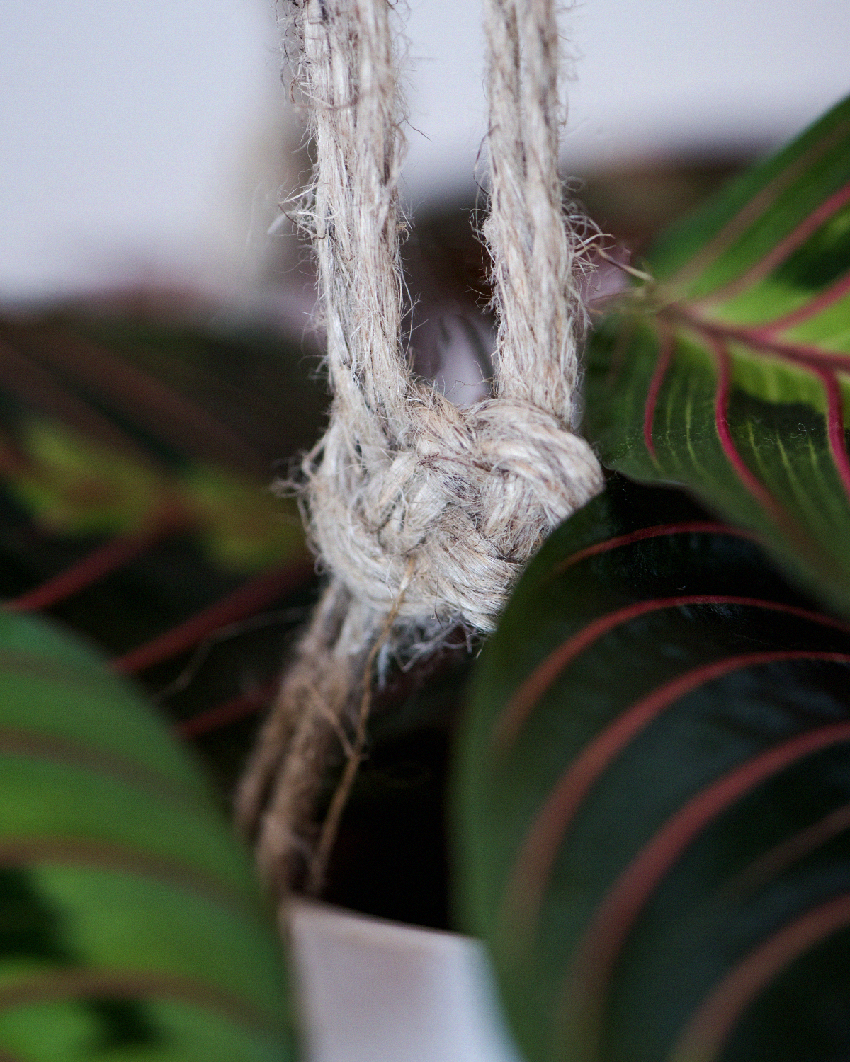 Macrame flower pot - Jozefin knotted