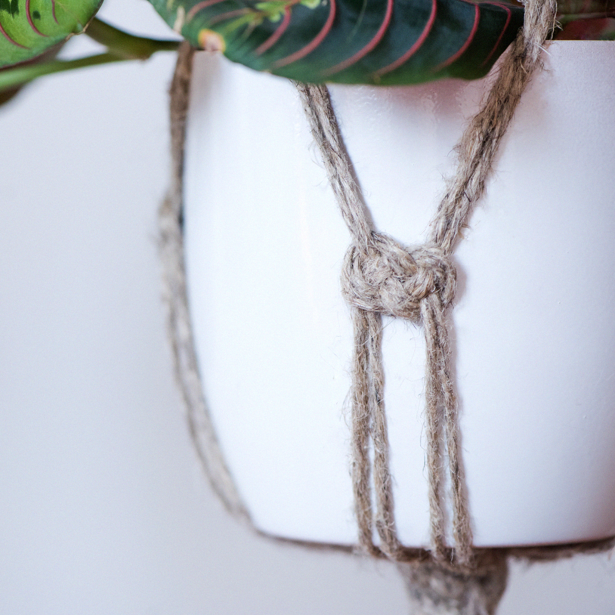 Macrame flower pot - Jozefin knotted