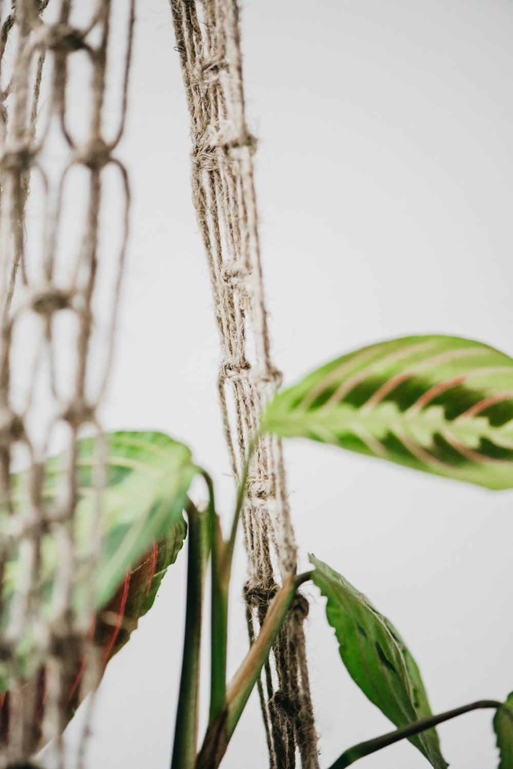 Macramé flower pot - mesh