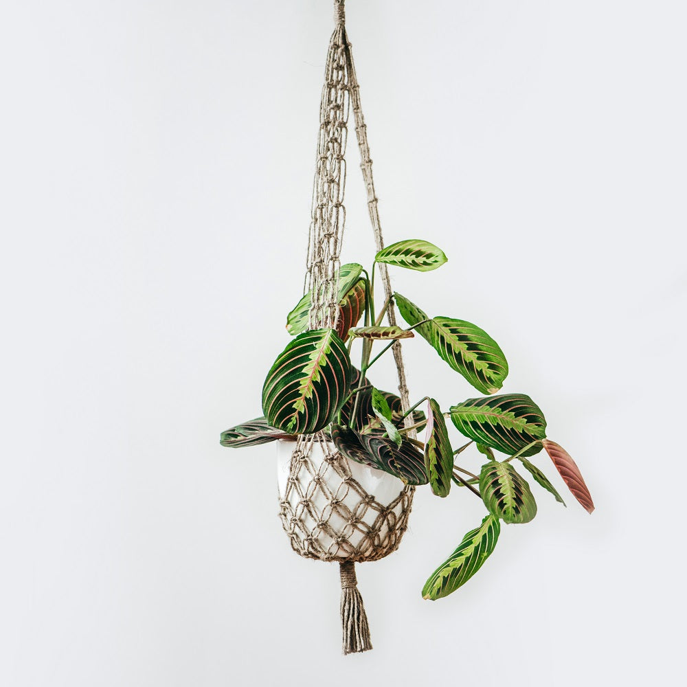 Macramé flower pot - mesh
