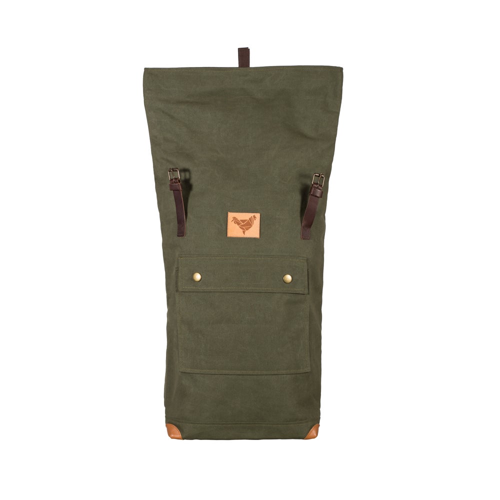 FOX OLIVE