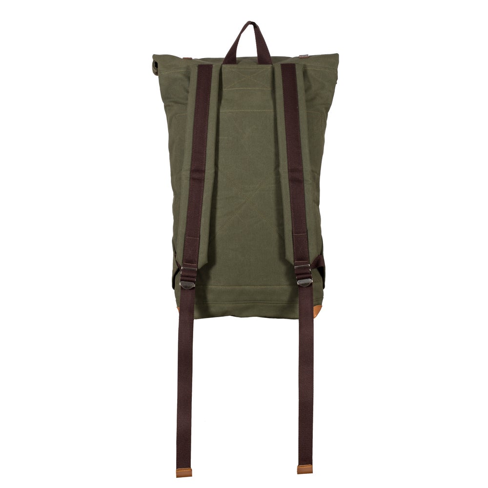 FOX OLIVE